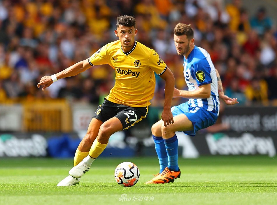 球员在青春 球员在青春