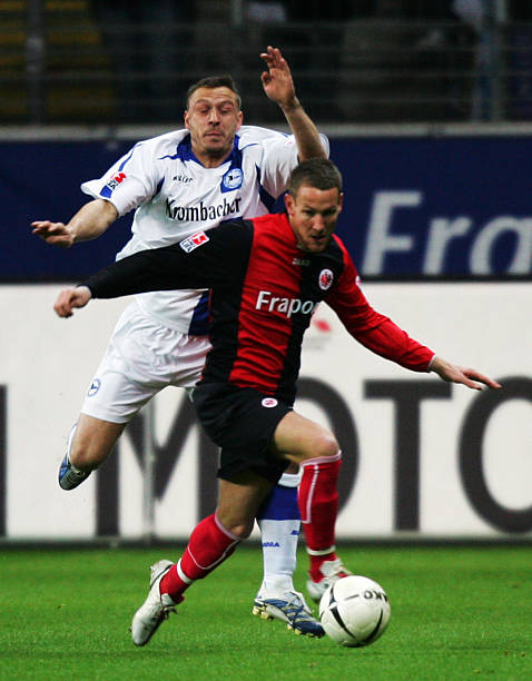 部更倾向于 部更倾向于